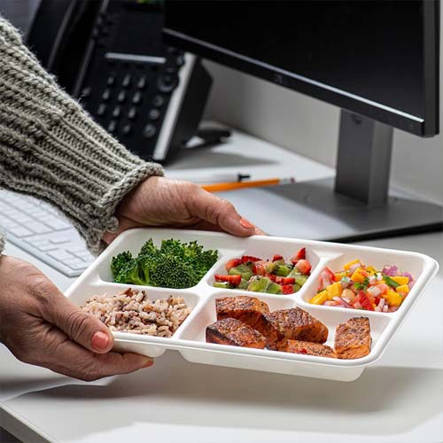 Sugarcane Food Tray Disposable