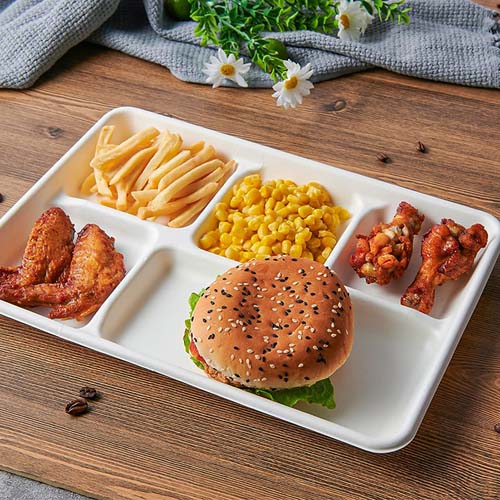 Sugarcane Lunch Tray Biodegradable Tableware