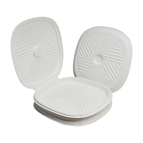 Sugarcane Pizza Box Biodegradable