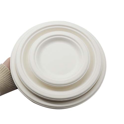 Sugarcane Plate 7 Inch Round