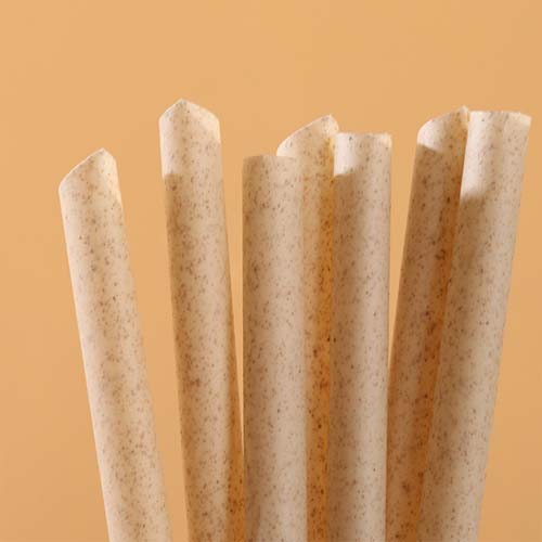 Sugarcane Pulp Straws 21cm