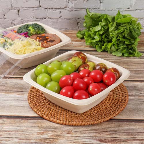 Sugarcane Salad Bowl 24oz