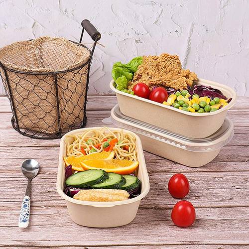 Sugarcane Salad Box