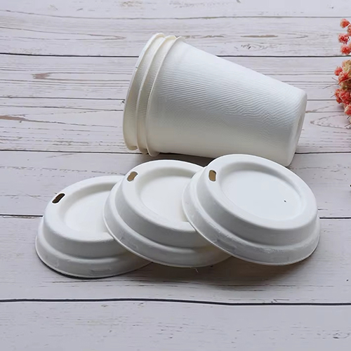White Bagasse Cup with Lids