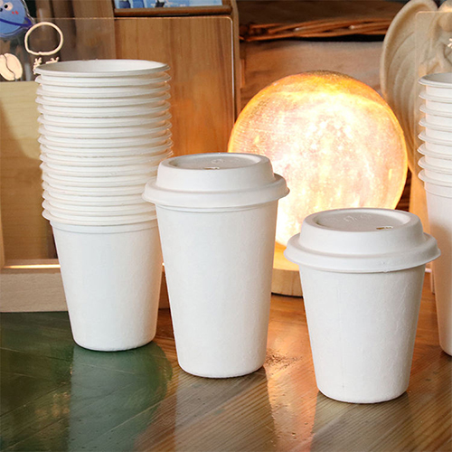 White Bagasse Cup with Lids