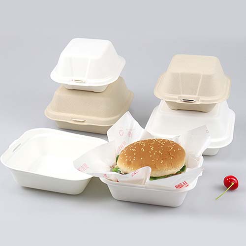 6''6'' Sugarcane Pulp Burger box