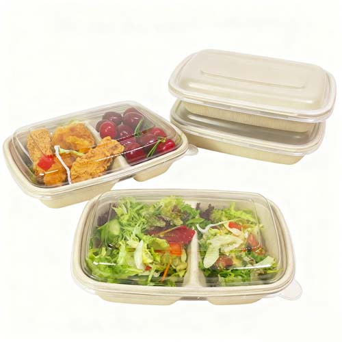 750ml Sugarcane 2 Compartment Food Container