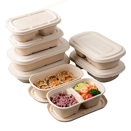 750ml Sugarcane 2 Compartment Food Container