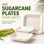 Are Sugarcane Plates Food Safe Benefits, Safety & Everyday Use Explained