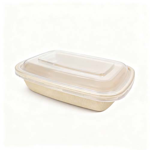 Bagasse Food Box with Lid
