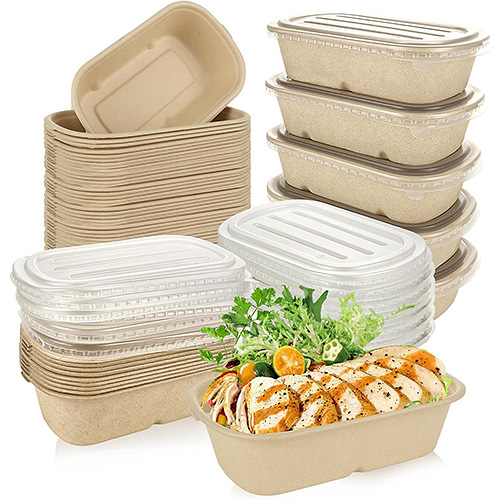 Bagasse Food Box with Lid