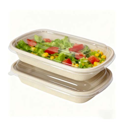 Custom Biodegradable Bagasse Box