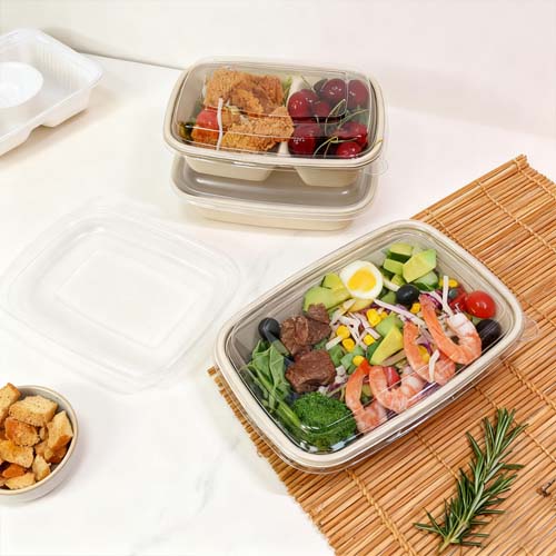 Custom Biodegradable Bagasse Box