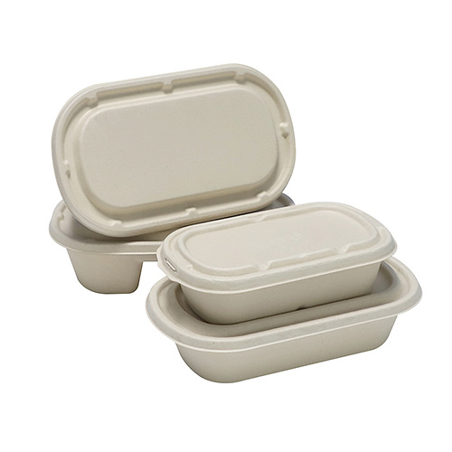 Disposable Bagasse Food Box with Lid