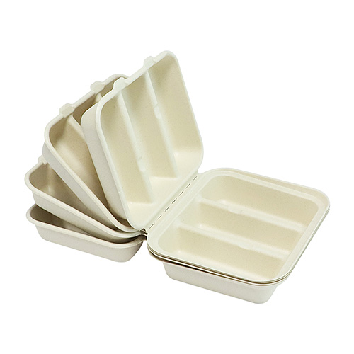 Fluoride-Free Sugarcane Eco-friendly Taco Box