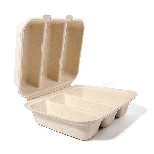 Fluoride-Free Sugarcane Eco-friendly Taco Box
