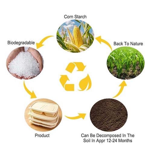 Is Compostable Food Packaging Really Eco-Friendly