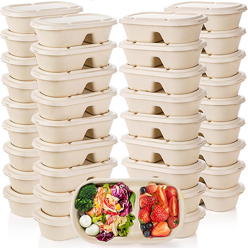 Rectangle Sugarcane 2 Compartment Food Container