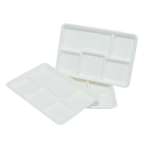 School Lunch Plates Sugarcane Bagasse Tray