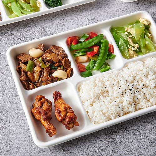 School Lunch Plates Sugarcane Bagasse Tray
