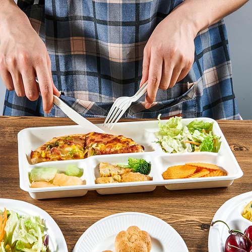 School Lunch Plates Sugarcane Bagasse Tray