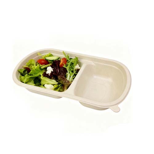 Sugarcane 2 Compartment Food Container