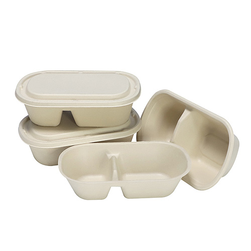 Sugarcane 2 Compartment Food Container
