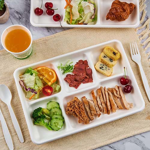 Sugarcane Bagasse 1000ml Food Tray with Lid