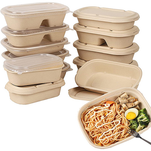 Sugarcane Bagasse 2-Compartment Bento Box