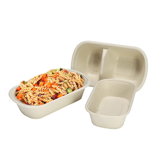 Sugarcane Bagasse 2-Compartment Bento Box