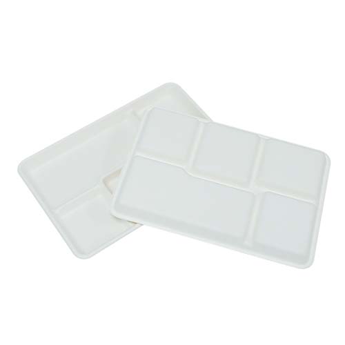 Sugarcane Bagasse 5-Compartment School Lunch Tray