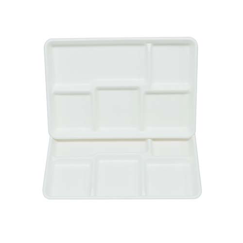 Sugarcane Bagasse 5-Compartment School Lunch Tray