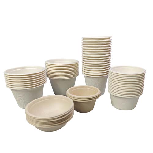 Sugarcane Bagasse 6oz Sauce Cup