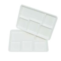 Sugarcane Bagasse Food Tray