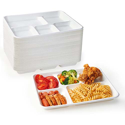 Sugarcane Bagasse French Fries Tray
