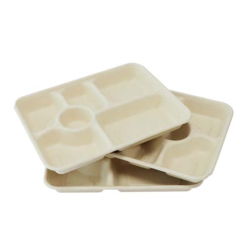 Sugarcane Bagasse French Fries Tray