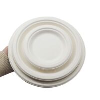 Sugarcane Bagasse Pizza Plate