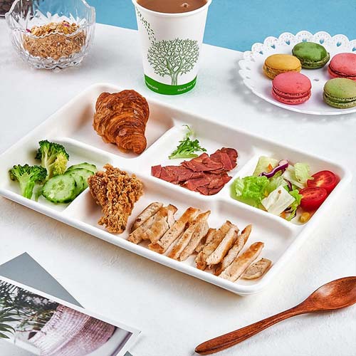 Sugarcane Bagasse Pulp 3-4-5-6 Compartment Tray