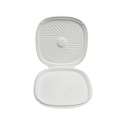 Sugarcane Pizza Trays