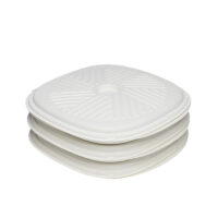 Sugarcane Pizza Trays