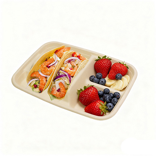 Sugarcane Taco Box Holder Tray for Party