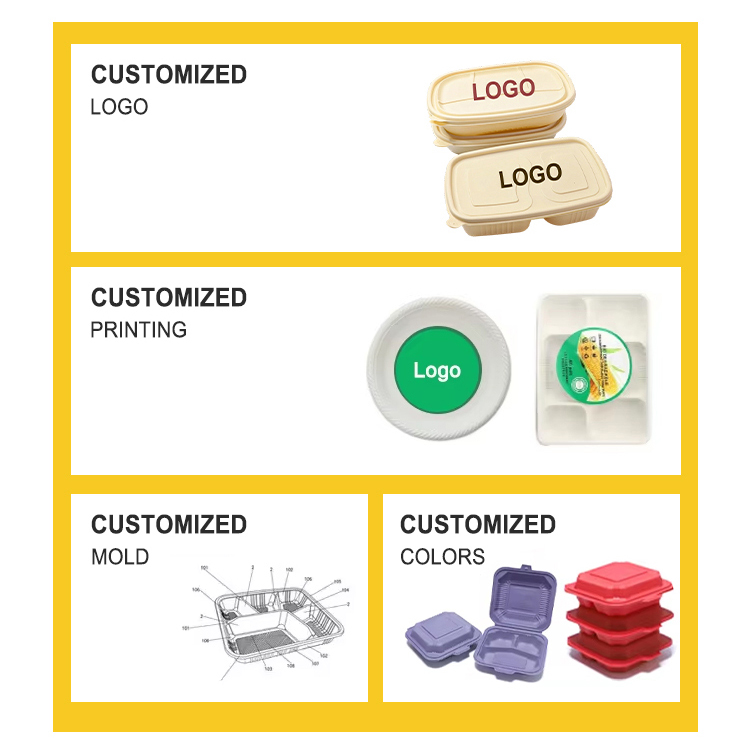 What Is Biodegradable Food Packaging Complete Guide for Buyers