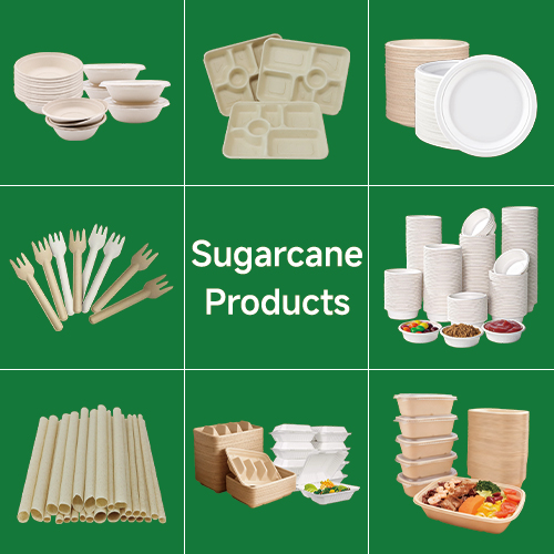 Best Biodegradable Food Containers for Restaurants and Takeaway Businesses