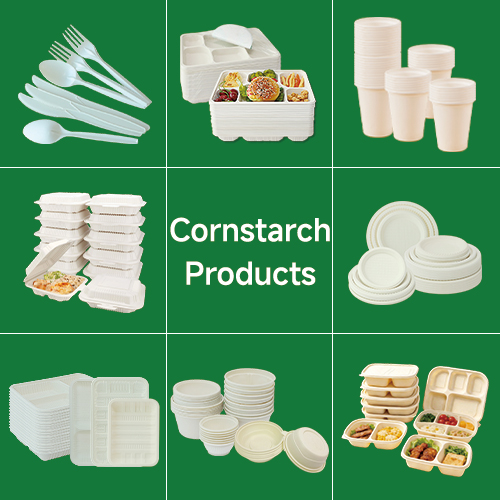 Best Biodegradable Food Containers for Restaurants and Takeaway Businesses