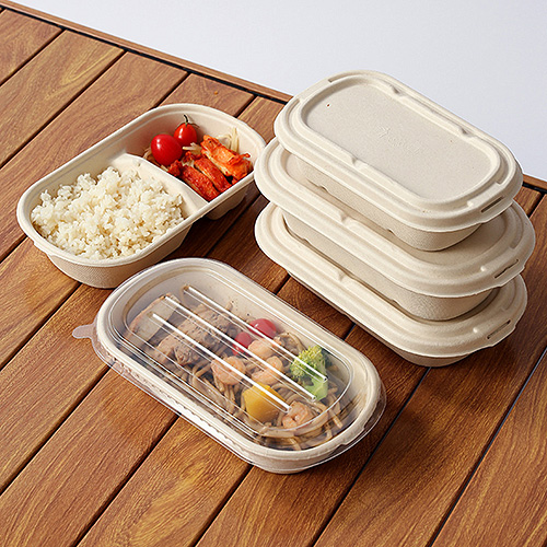 Biodegradable Sugarcane Takeaway Food Boxes