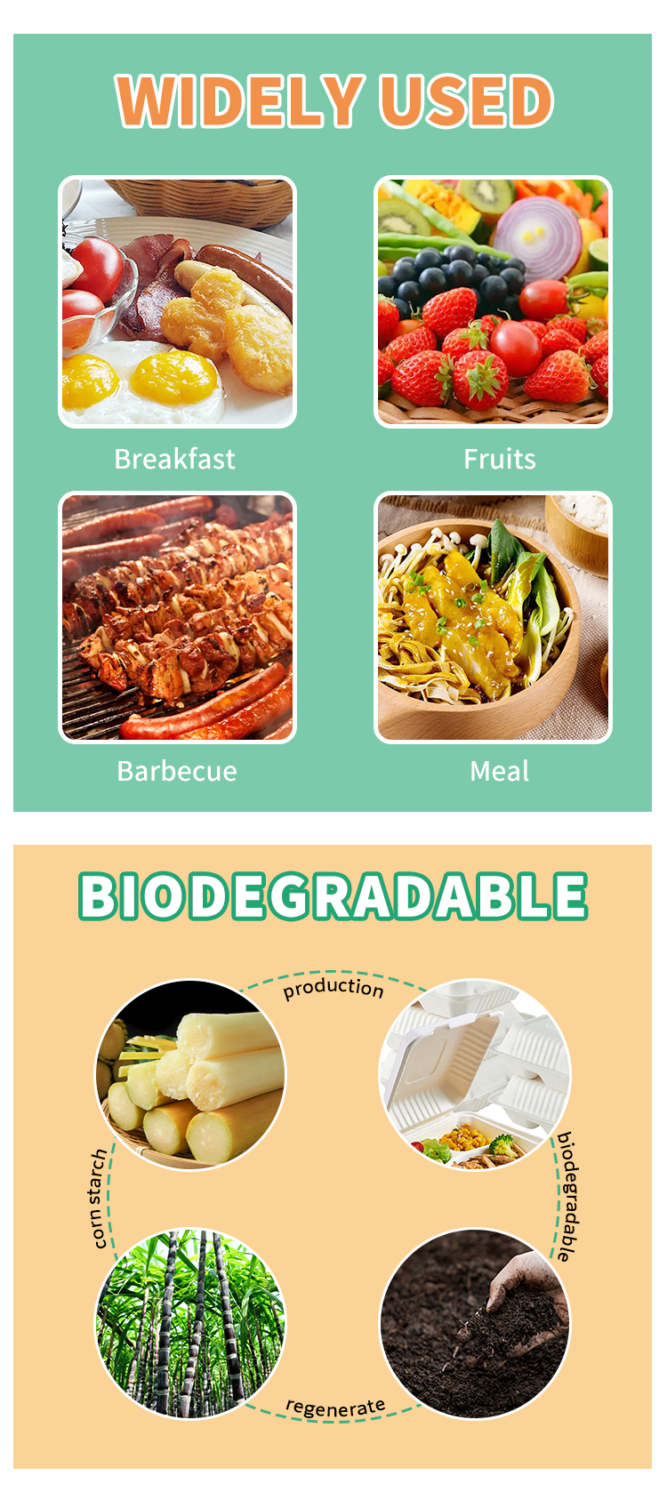 Compostable Sugarcane Bagasse Box