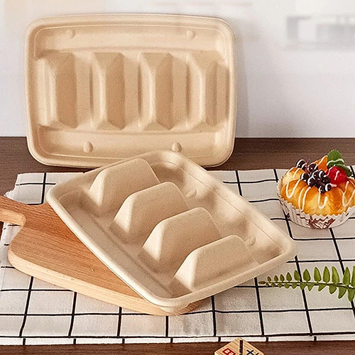Compostable Sugarcane Bagasse Taco Holder Tray