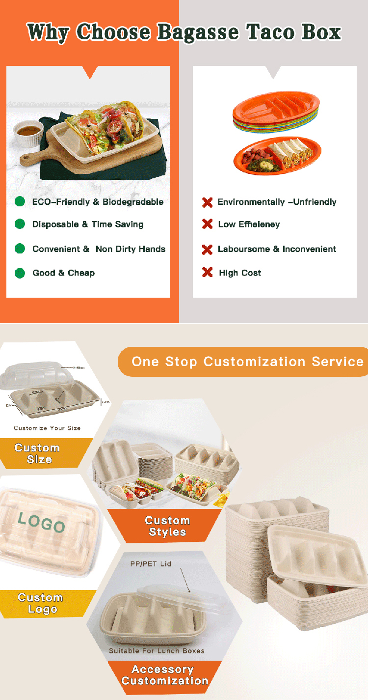 Compostable Sugarcane Bagasse Taco Holder Tray