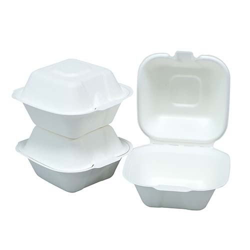Compostable Sugarcane Bakery Takeaway Box
