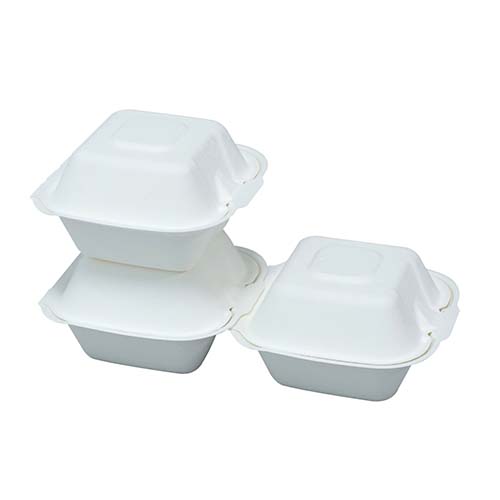 Compostable Sugarcane Bakery Takeaway Box